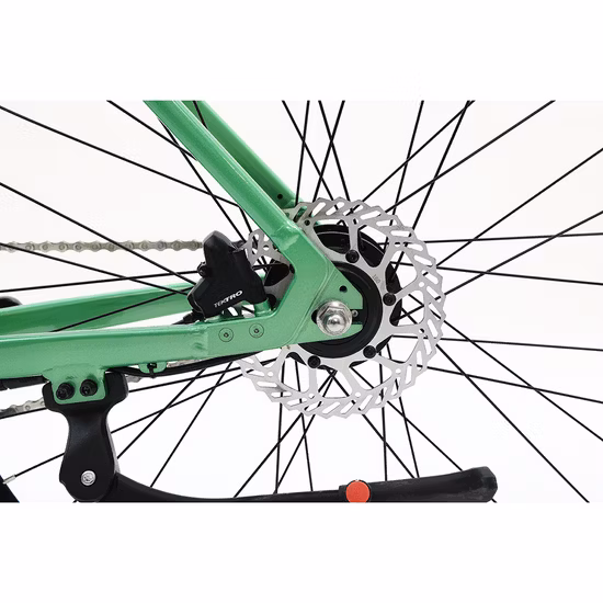 Leichtes Step-Through-Elektrofahrrad, Pendlerfahrrad, Sportfahrrad, Stadtfahrrad, E-Bike
