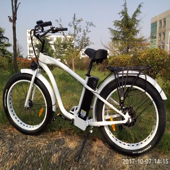 500W/750W Bafun Bafang Motor Fat Tire Mountain Großhandel Elektrofahrrad