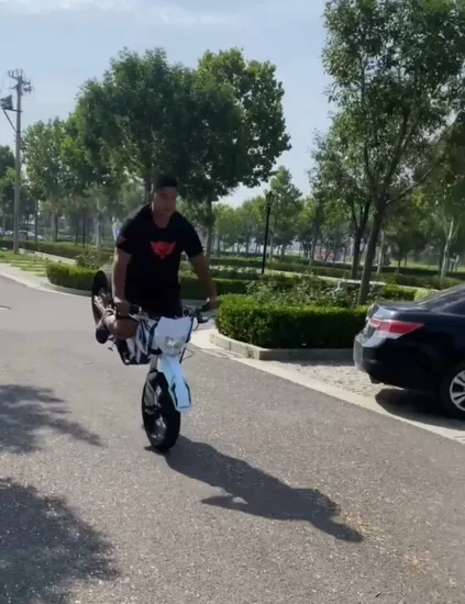2023 Admitjet Amor E-Motorrad für Erwachsene, bestes E-Mountainbike, schnelles 12000 W Enduro-Motorrad, E-Bike, elektrisches Dirtbike