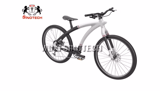 Carbonfaser 12-Gang-Rennräder Schotterrad Rennrad Bicicleta Erwachsene